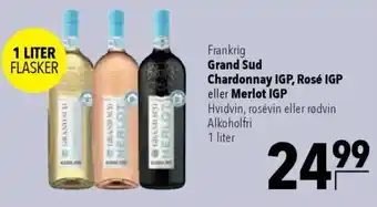 CITTI Markt Grand Sud Chardonnay IGP, Rosé IGP eller Merlot IGP Angebot