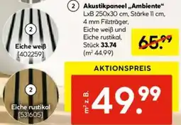 Hellweg Akustikpaneel „Ambiente“ Angebot