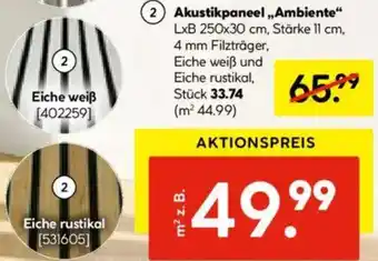 Hellweg Akustikpaneel „Ambiente“ Angebot