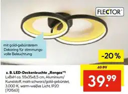 Hellweg FLECTOR LED-Deckenleuchte „Rengas" Angebot