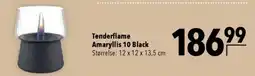 CITTI Markt Tenderflame Amaryllis 10 Black Angebot
