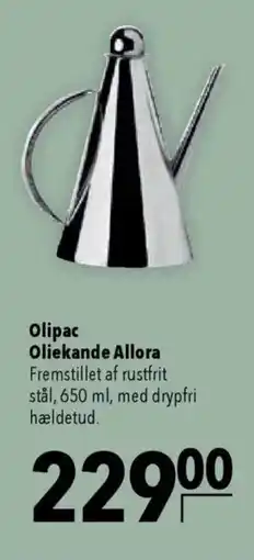 CITTI Markt Olipac Oliekande Allora Angebot