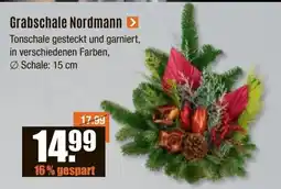 V Baumarkt Grabschale Nordmann Angebot