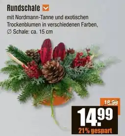 V Baumarkt Rundschale Angebot