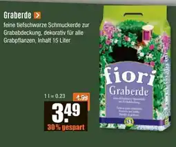 V Baumarkt fiori Graberde Angebot