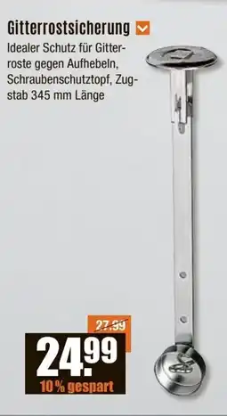 V Baumarkt Gitterrostsicherung Angebot