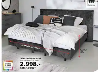 Hofmeister Musterring boxspringbett elias Angebot