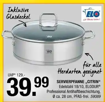 Hofmeister Elo servierpfanne „citrin“ Angebot