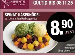 Hofmeister Spinat-käseknödel Angebot