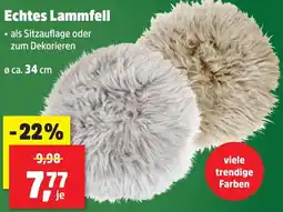 Thomas Philipps Echtes Lammfell Angebot