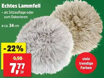 Thomas Philipps Echtes Lammfell Angebot