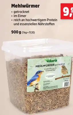 Thomas Philipps Mehlwürmer Angebot