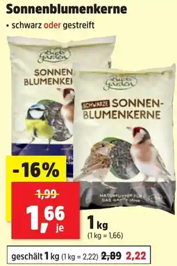 Thomas Philipps Sonnenblumenkerne Angebot