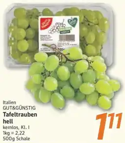 inkoop Tafeltrauben hell Angebot