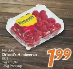 inkoop Dricoll's Himbeeren Angebot