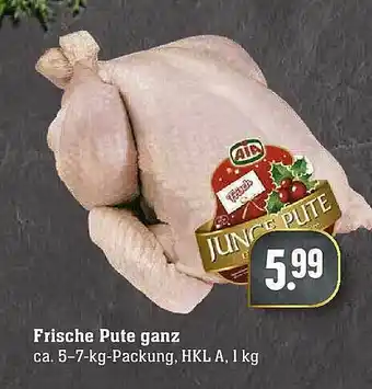 Edeka Frische Pute Ganz Angebot