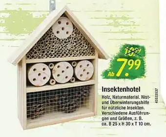 Floraland Insektenhotel Angebot