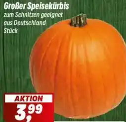 Simmel Großer Speisekürbis Angebot