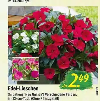 Floraland Edel Lieschen Angebot