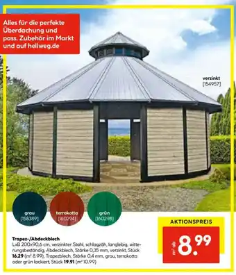 Hellweg Trapez-/Abdeckblech Angebot