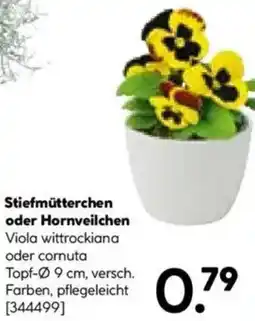Hellweg Stiefmütterchen oder Hornveilchen Angebot