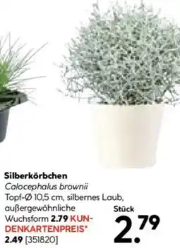 Hellweg Silberkörbchen Angebot