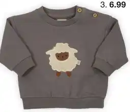 Zeeman Babysweater Angebot