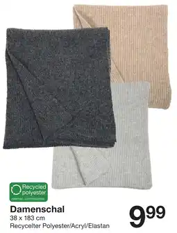 Zeeman Damenschal Angebot
