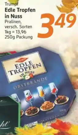 inkoop Trumpf Edle Tropfen in Nuss Angebot