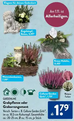 Aldi Süd GARDENLINE Grabpflanze oder Grabarrangement Angebot