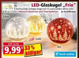 Norma LED-Glaskugel „Frio“ Angebot