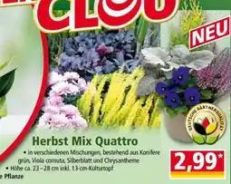 Norma Herbst Mix Quattro Angebot