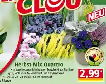 Norma Herbst Mix Quattro Angebot