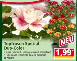 Norma Topfrosen Spezial Duo-Color Angebot