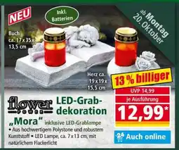 Norma LED-Grabdekoration „Mora“ Angebot