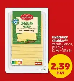PENNY LINDENHOF Cheddar Angebot