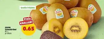 PENNY ZESPRI SunGold Kiwi Angebot