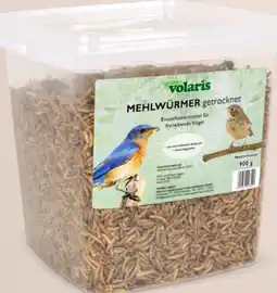 Thomas Philipps Volaris Mehlwürmer Angebot