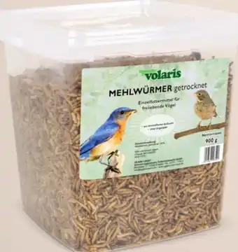 Thomas Philipps Volaris Mehlwürmer Angebot
