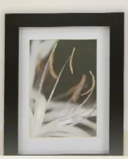 Thomas Philipps Fotorahmen Holz Angebot