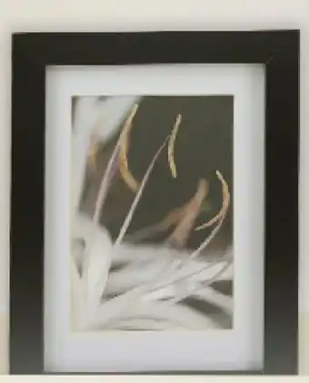 Thomas Philipps Fotorahmen Holz Angebot