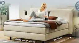 Ostermann Mondo Boxspringbett Barell Angebot