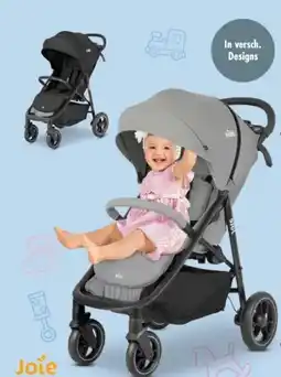Trends Möbel Jole Buggy Literax Angebot