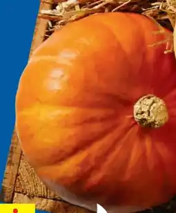 Lidl Bio Speisekürbisse Hokkaido Angebot