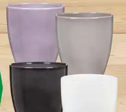 Hagebau Scheurich Keramik Orchideengefäß Angebot