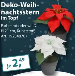 Sonderpreis Baumarkt Deko-Weihnachtsstern im Topf Angebot
