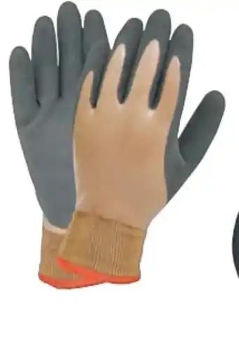 Rossmann Rossmann Ideen Welt Winter-Gartenhandschuhe Angebot