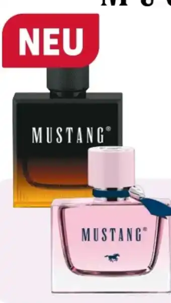 Rossmann Mustang Man EdT Angebot