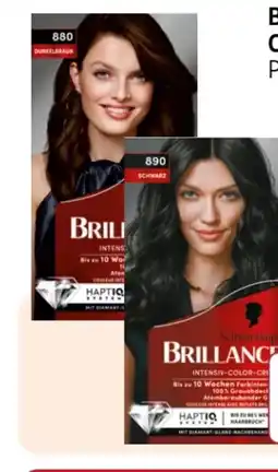 Rossmann Schwarzkopf Brillance Coloration Angebot
