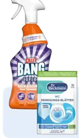 Rossmann Cillit Bang Reiniger Angebot